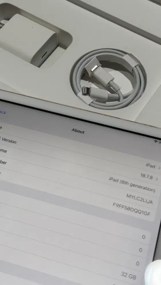 iPad 8 Rose Gold