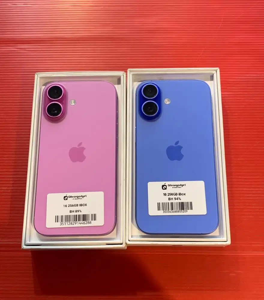 16 256GB EX IBOX