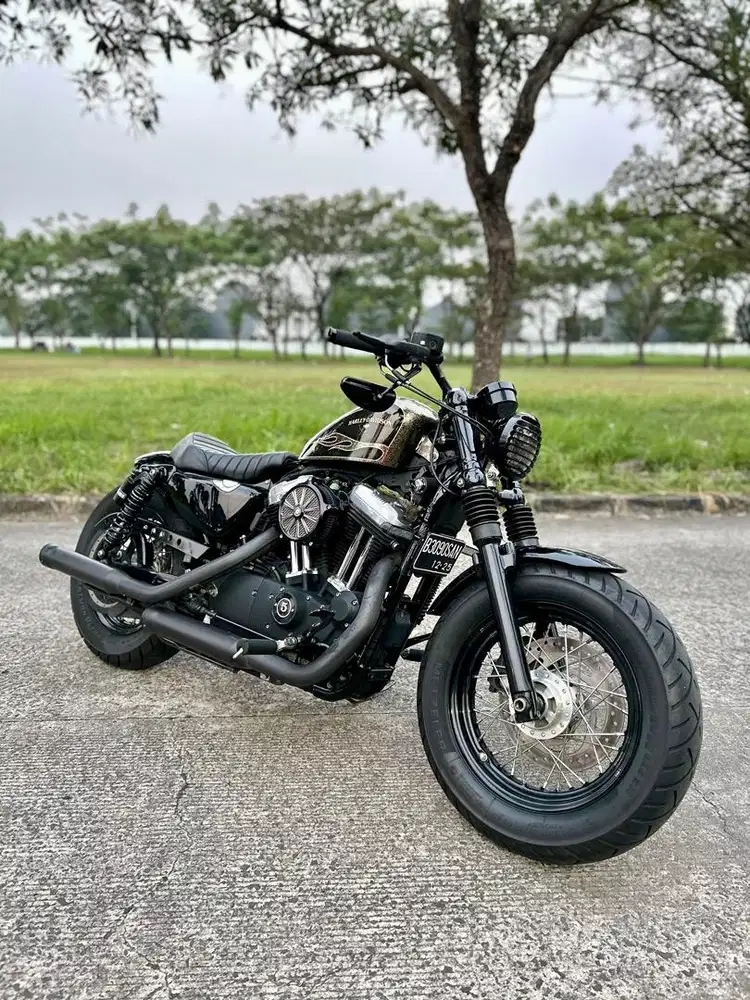 Harley Davidson Sportster 48 LOW ODO!!!