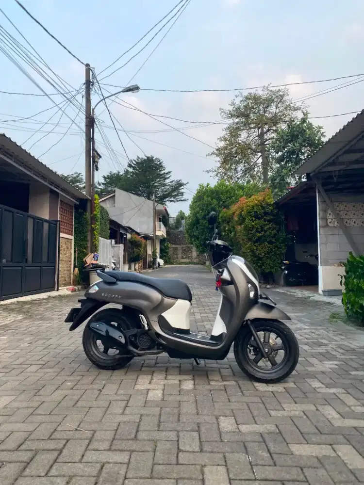 Scoopy fashion 2025
