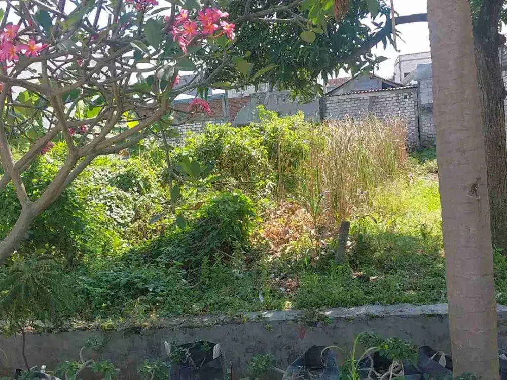 dijual cepat BU tanah di pakal rejosari surabaya