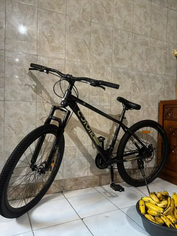 Dijual sepeda like new (NEGO)
