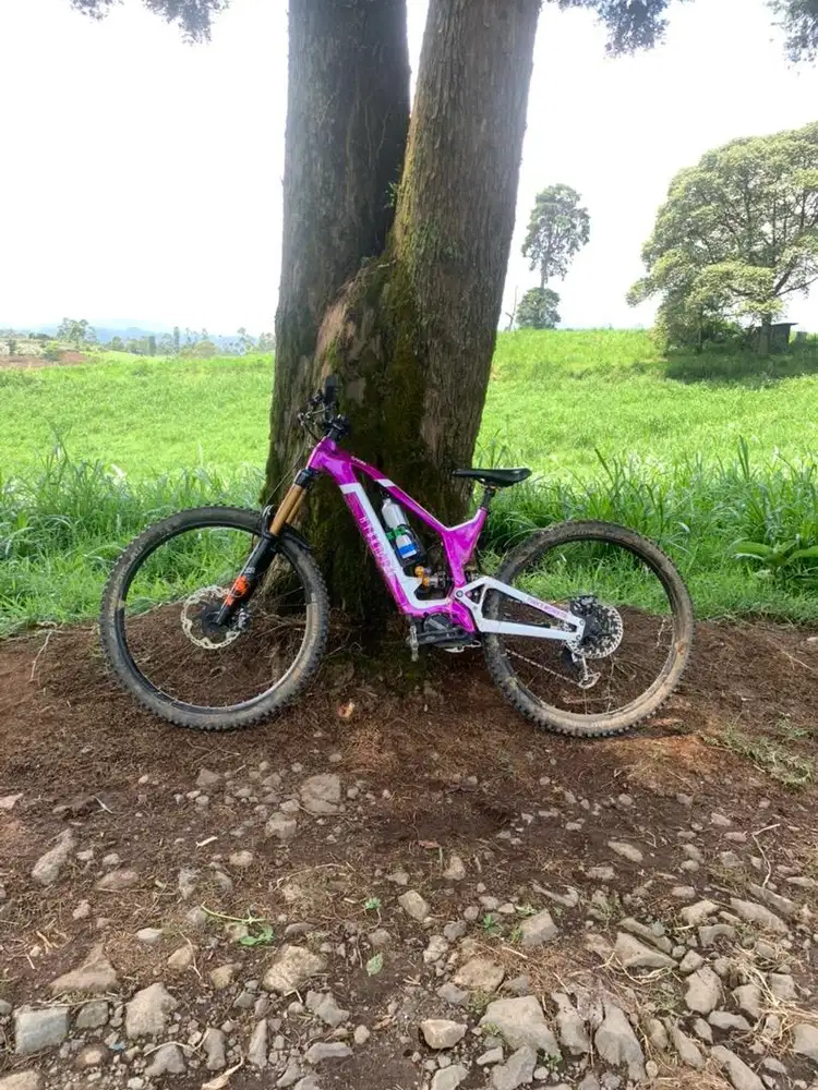 Ebike Hybridizer sann