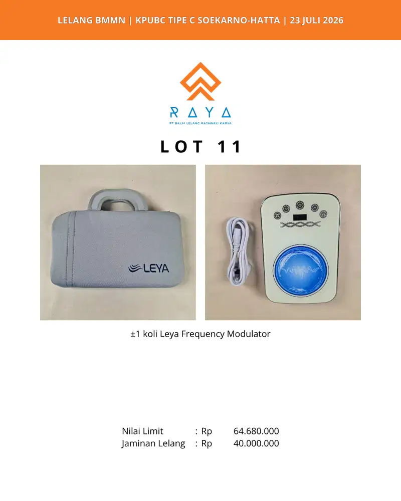 LEYA FREQUENCY MODULATOR