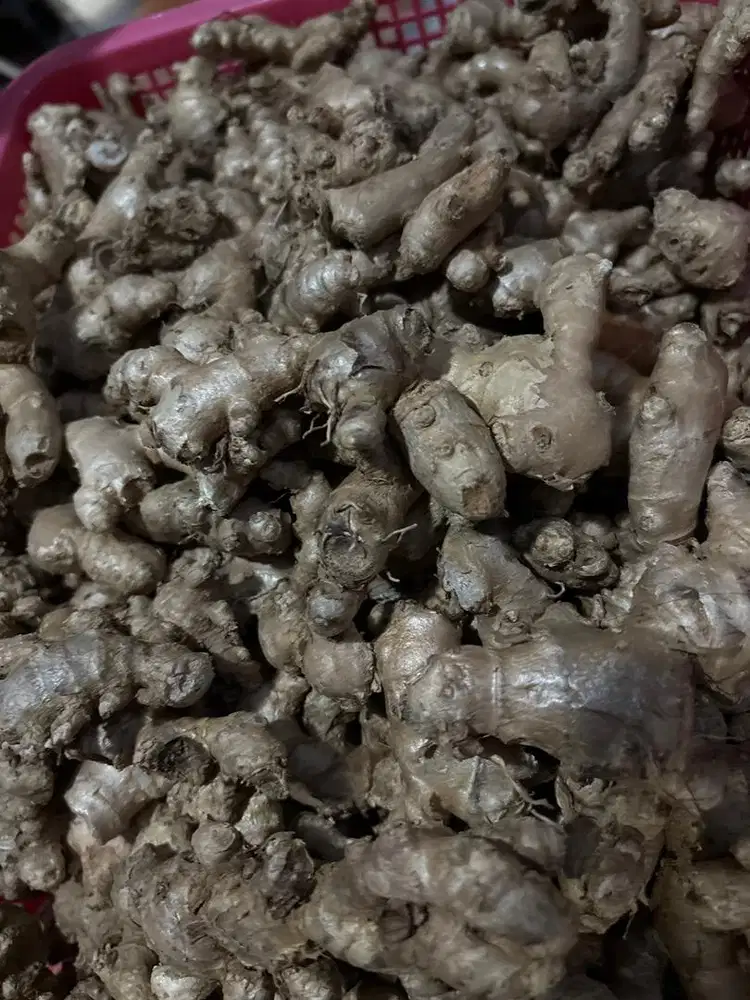 Jual jahe merah dan jahe emprit bersih ataupun kotor...dijamin murah