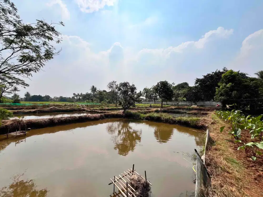 TANAH EMPANG MURAH DEKAT JALAN RAYA LOKASI STRATEGIS DI KECAMATAN CISEENG BOGOR