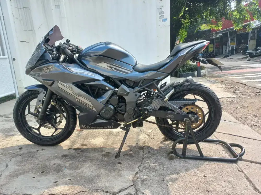 Ninja 250 Mono 2015 Original mulus Jos Murmer