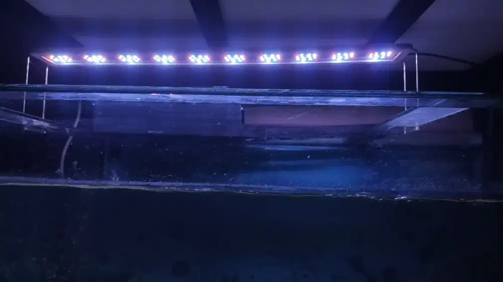Lampu led kandila z600