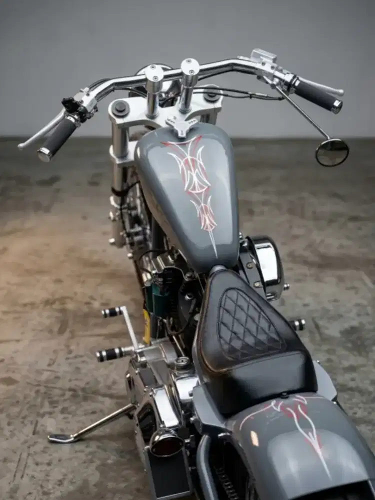Harley Softail Custom 6 Speed
