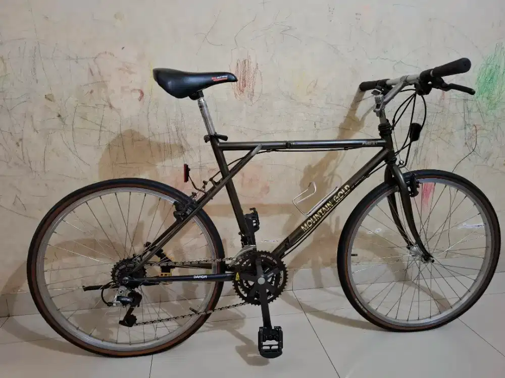 Dahon Mountain Gold 26