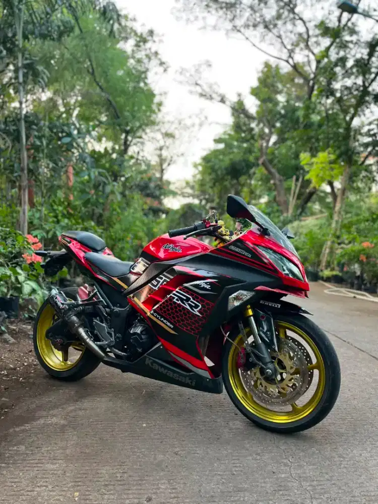 Kawasaki Ninja 250 fi 2slinder 2014