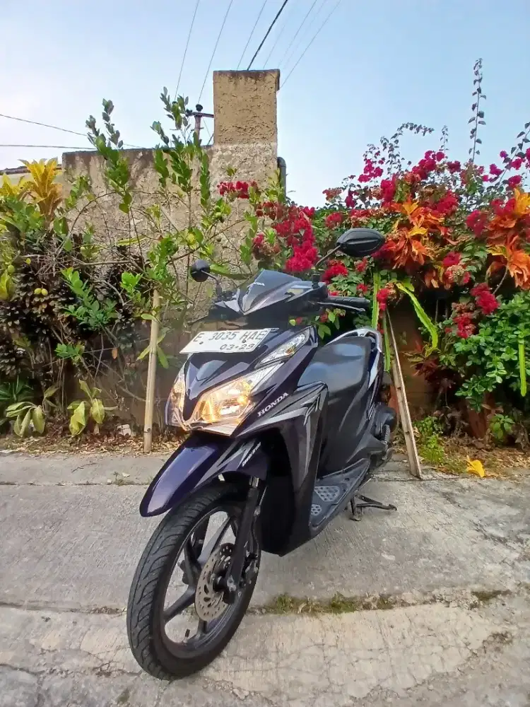 Vario KZR 2014 CBC ISS