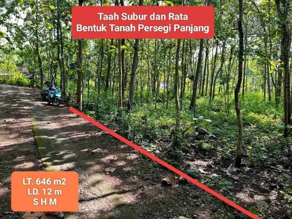 Dijual Tanah murah subur di Wisata Goa Pindul Bejiharjo Gunungkidul Yogyakarta