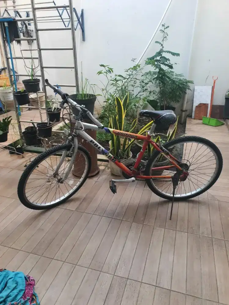 Sepeda Polygon Antik Masih Bagus