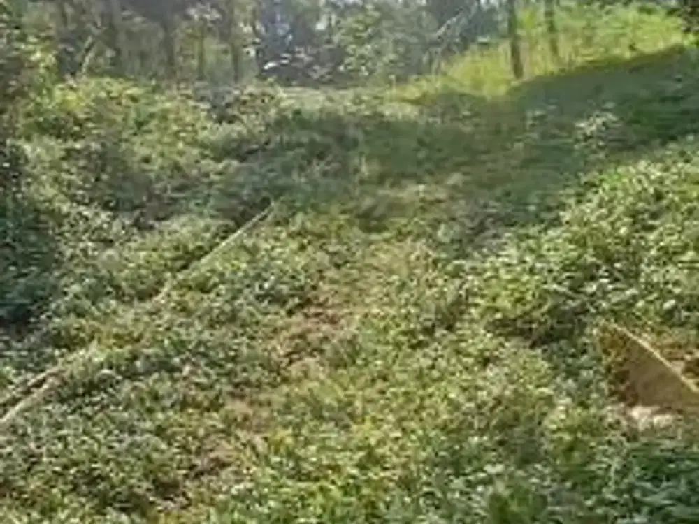 Dijual Tanah Izin Industri di Ciseeng Bogor, Jawa Barat