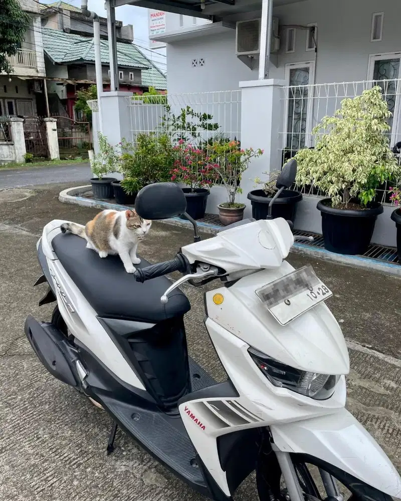 YAMAHA SOUL GT.