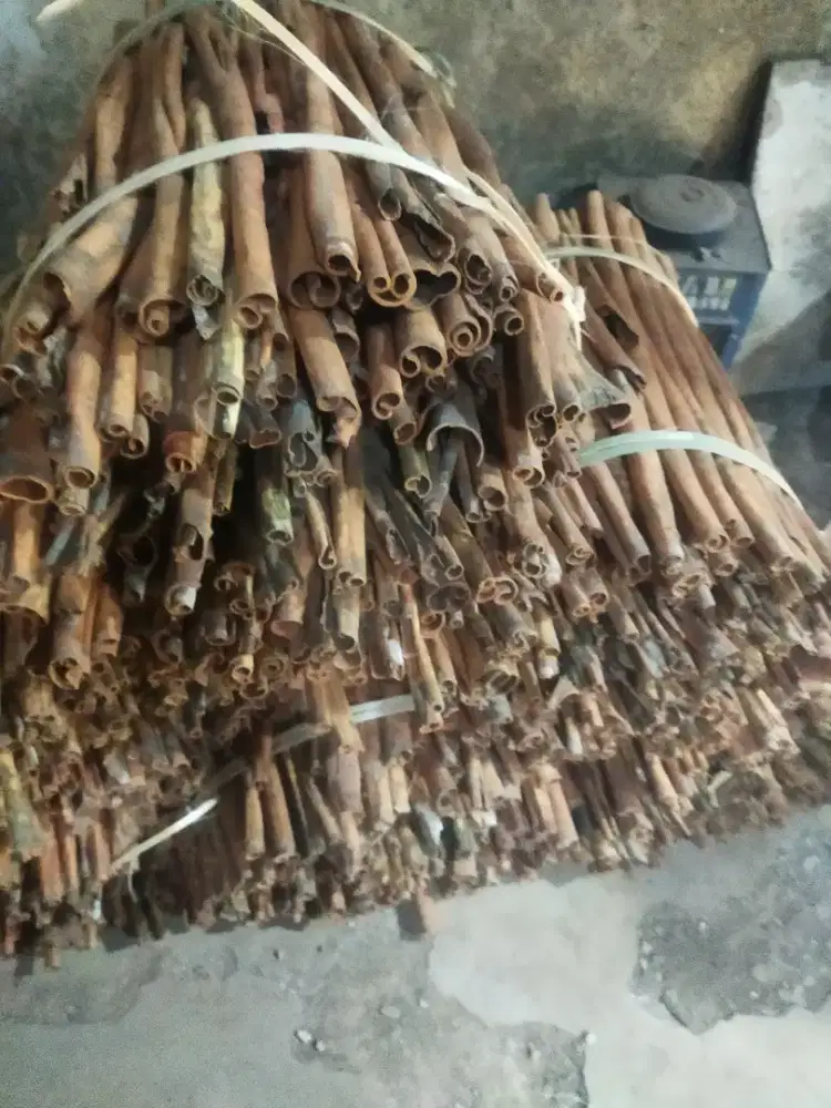 KAYU MANIS kering dan berkualitas