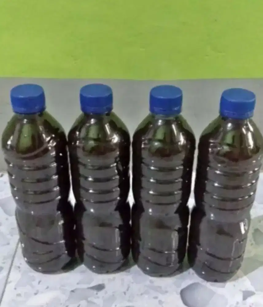 Ekstrak daun Ketapang/botol 6000ml
