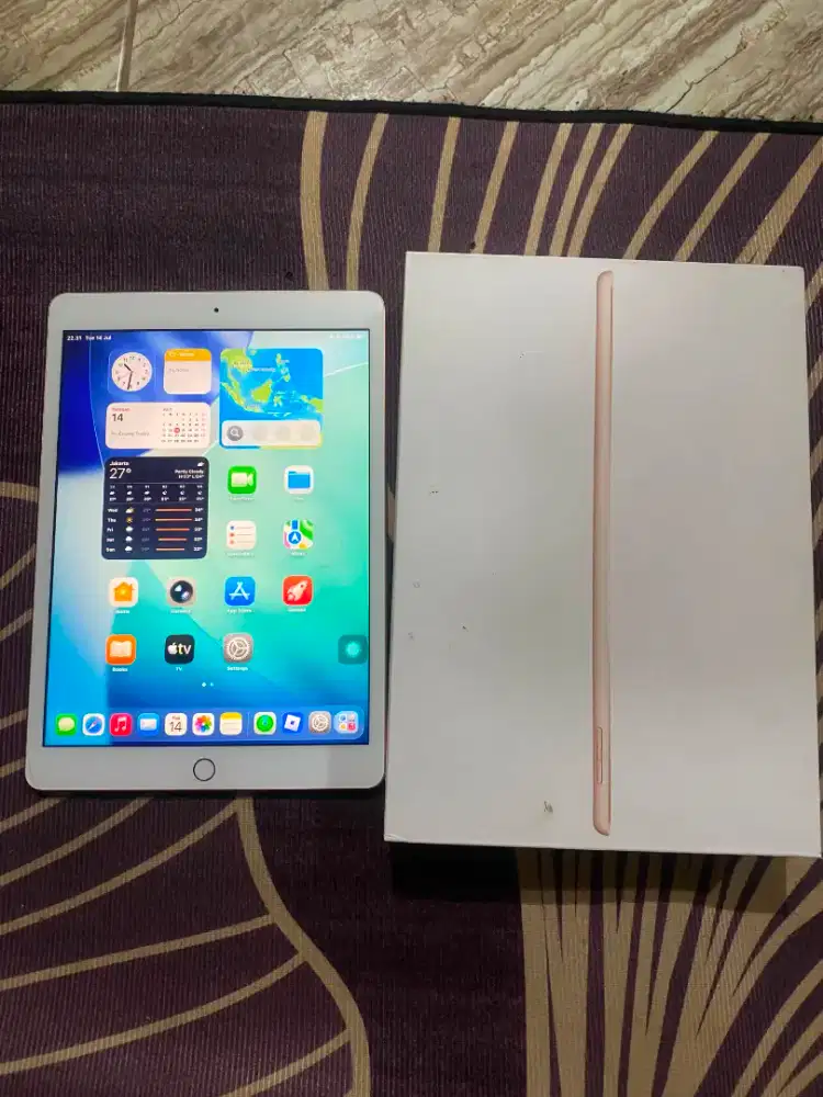 iPad gen 8thn 32gb ( wifi only )