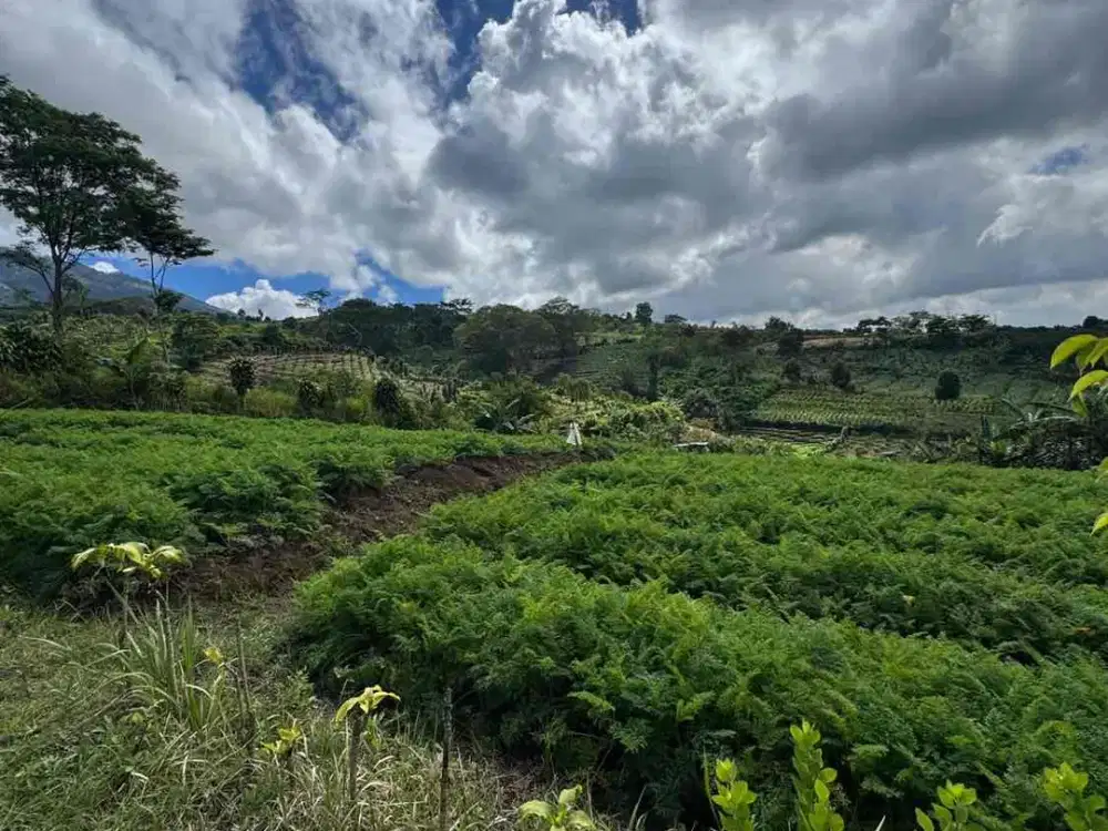 Dijual Tanah ,cocok Konsep Villa Kebun di Bumiaji Kota Batu – Cocok dengan Infinity Pooll , harga terjangkau