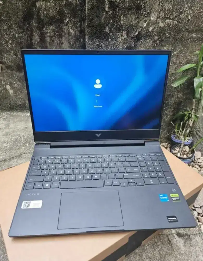 Victus 15 rtx 3050
