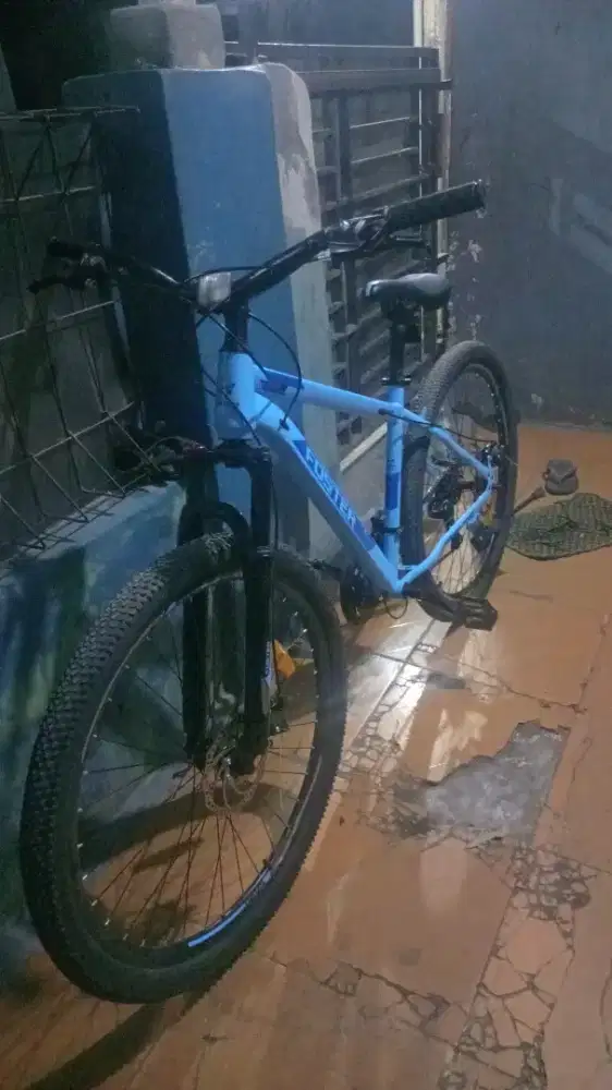 Sepeda Foster mtb