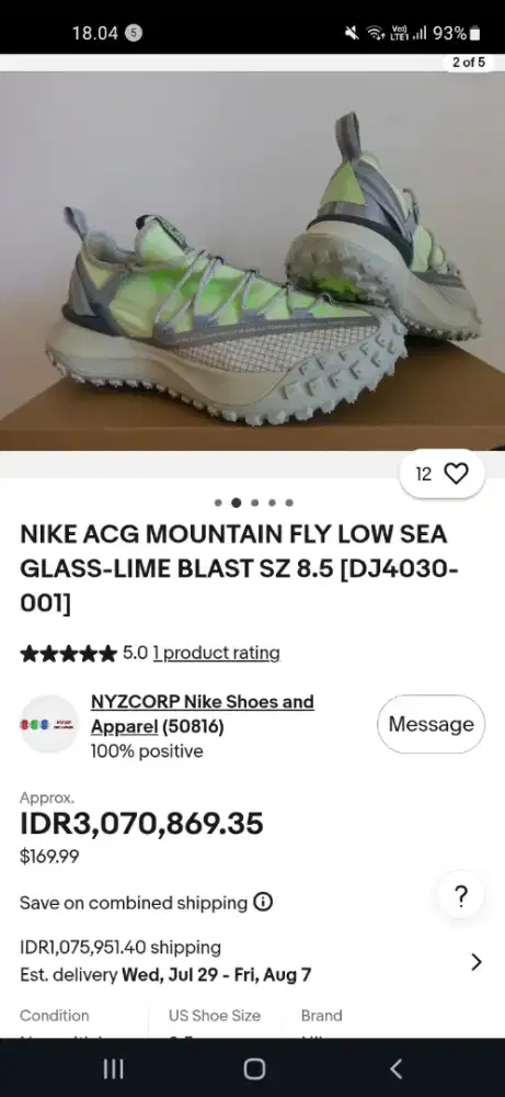Nike ACG mountain flow se la glass _ limeblast