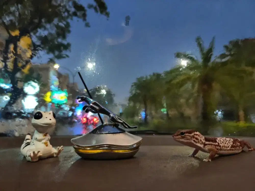 Jasa antar jemput (Driver perempuan)