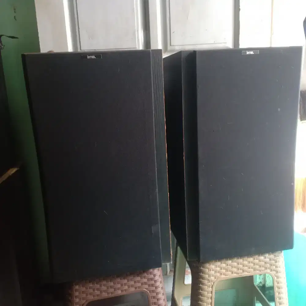 Speaker Intel 10inc 3way mulus