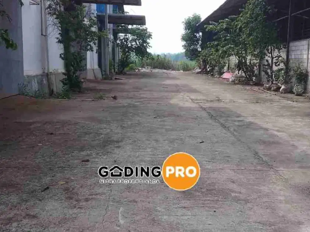 Jl Raya Cariu, Jonggol. Gudang Disewakan