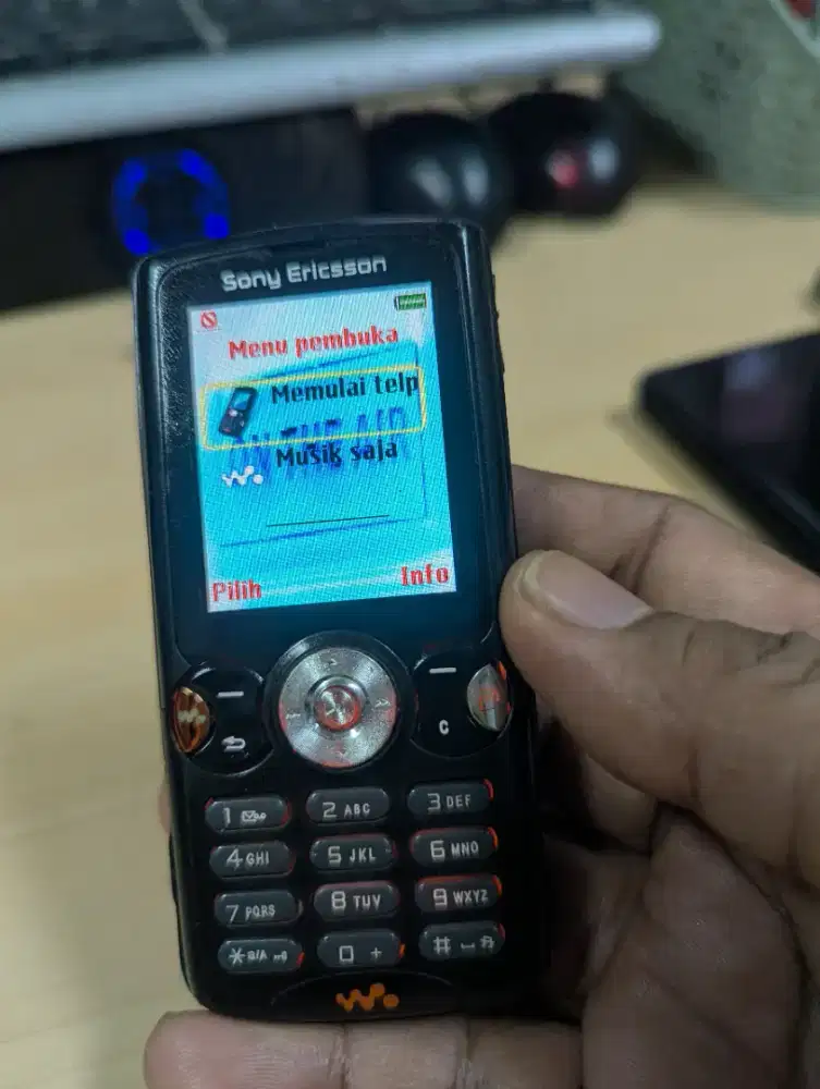 Sony Ericsson W810