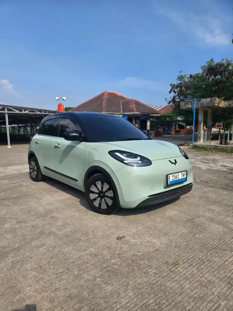Binguo EV Premium 410km
