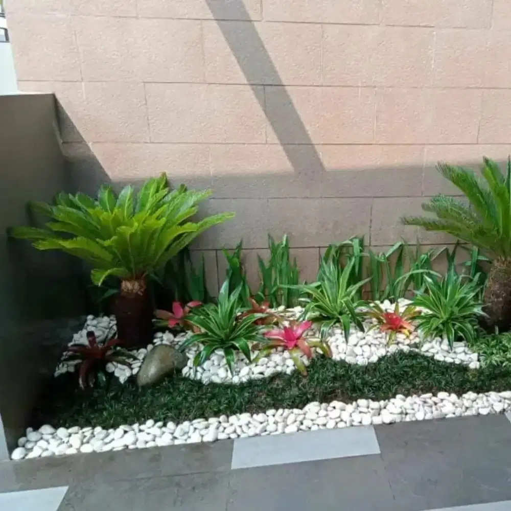 Menerimah jasa pembuatan taman rumput dan taman kering