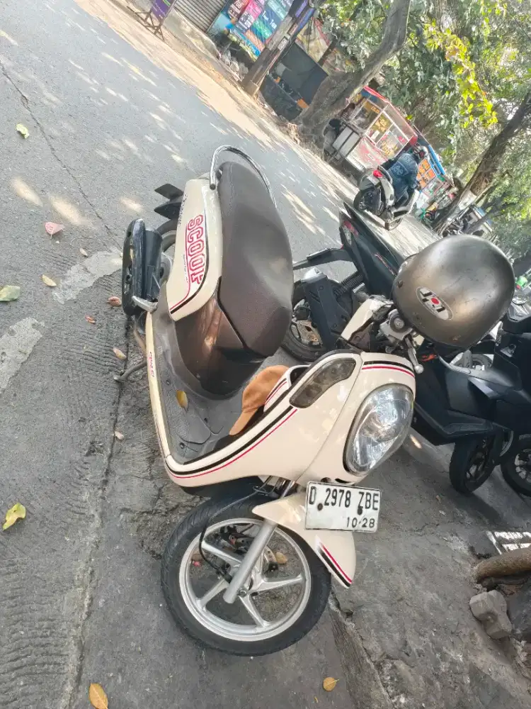 Scoopy 203 stylish