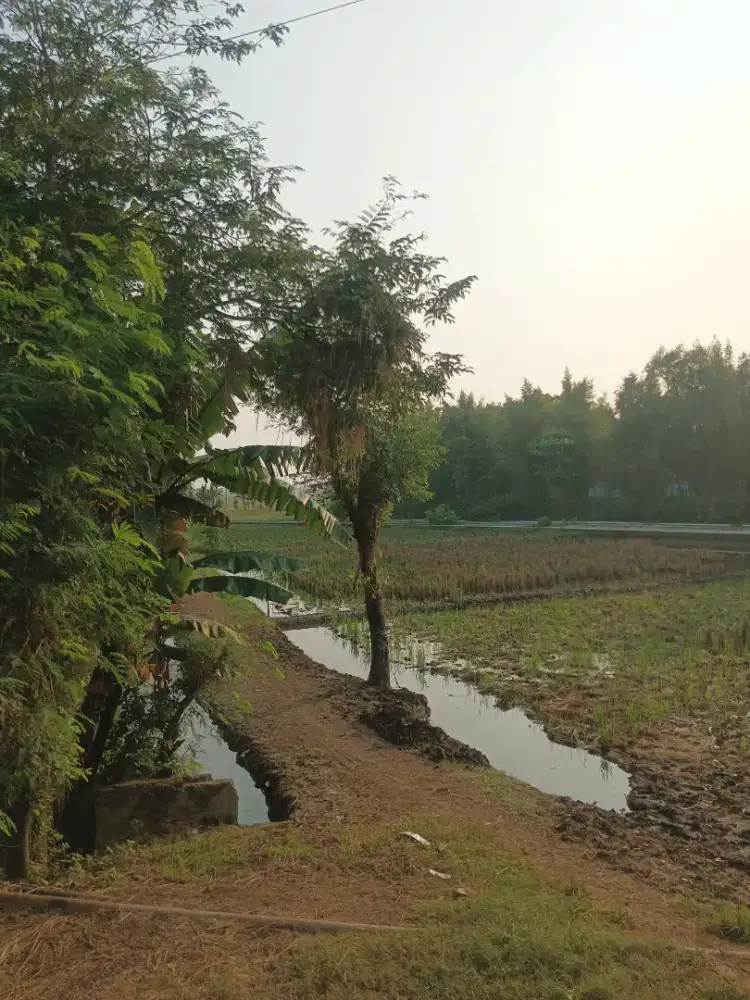 Cari pekerjaan untuk saya