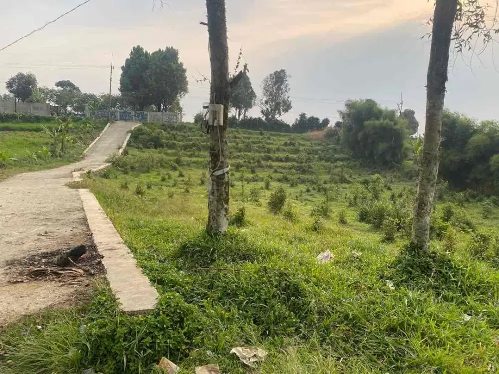 DI JUAL TANAH MURAH STRATEGIS DI BOGOR KECAMATAN TENJOLAYA BOGOR