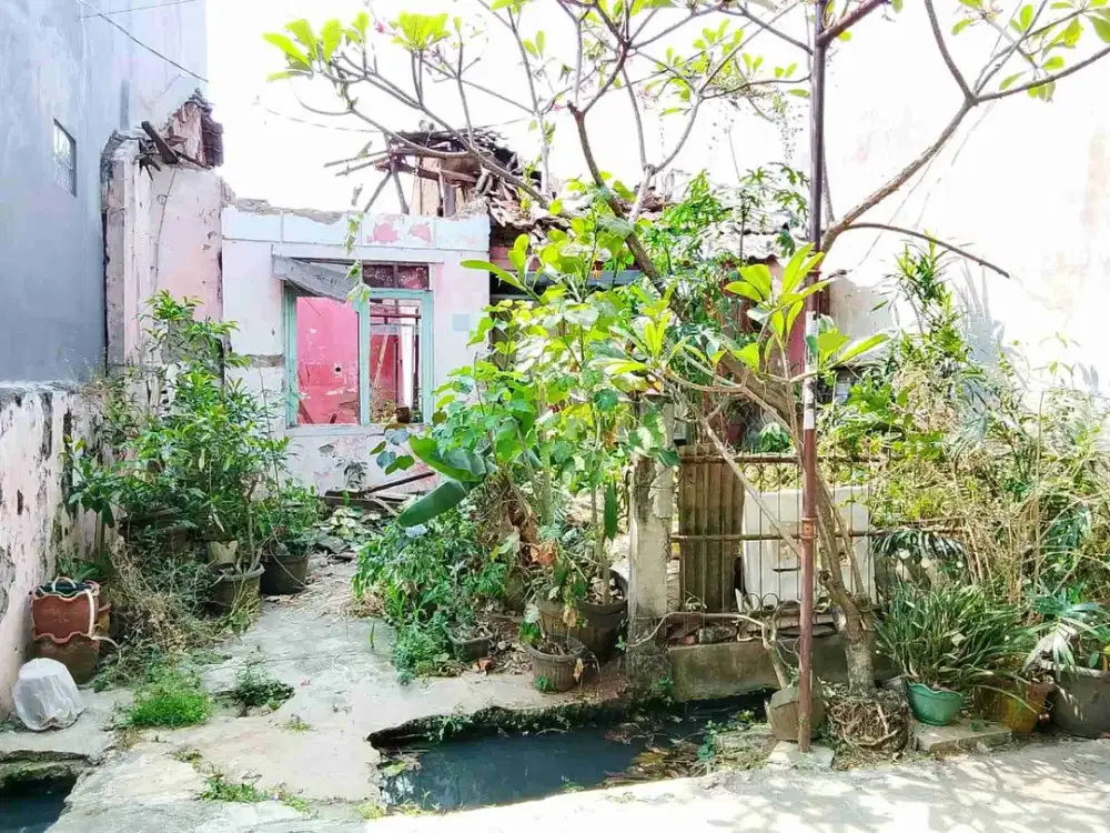 rumah bahan butuh renovasi.