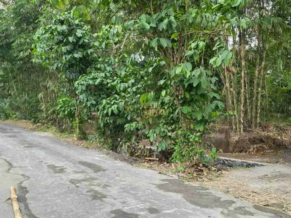 TANAH LUAS DIJUAL CEPAT DI TURGO PAKEM