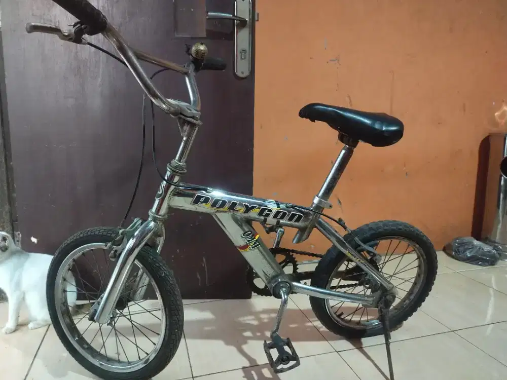 Sepeda Poligon Anak Cowok