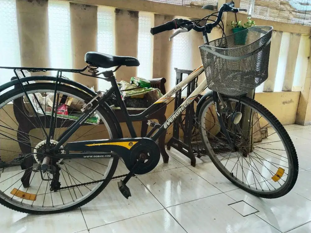 City Bike Evergreen Pisa