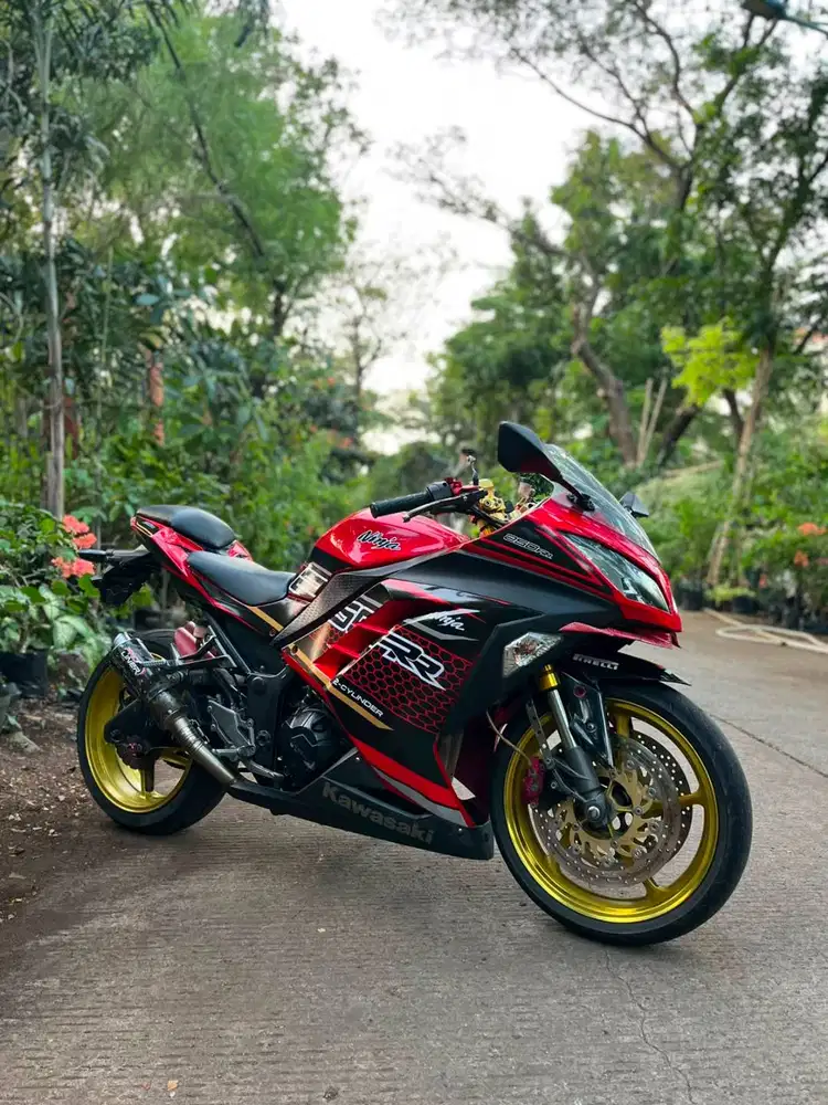 Di jual ninja 250 fi 2slinder 2014 mulus ganteng tinggal pakai