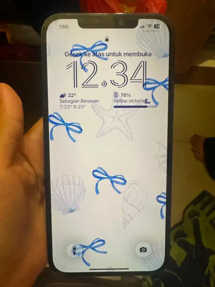 Jual iphone 12 pro max.. dijual cepat