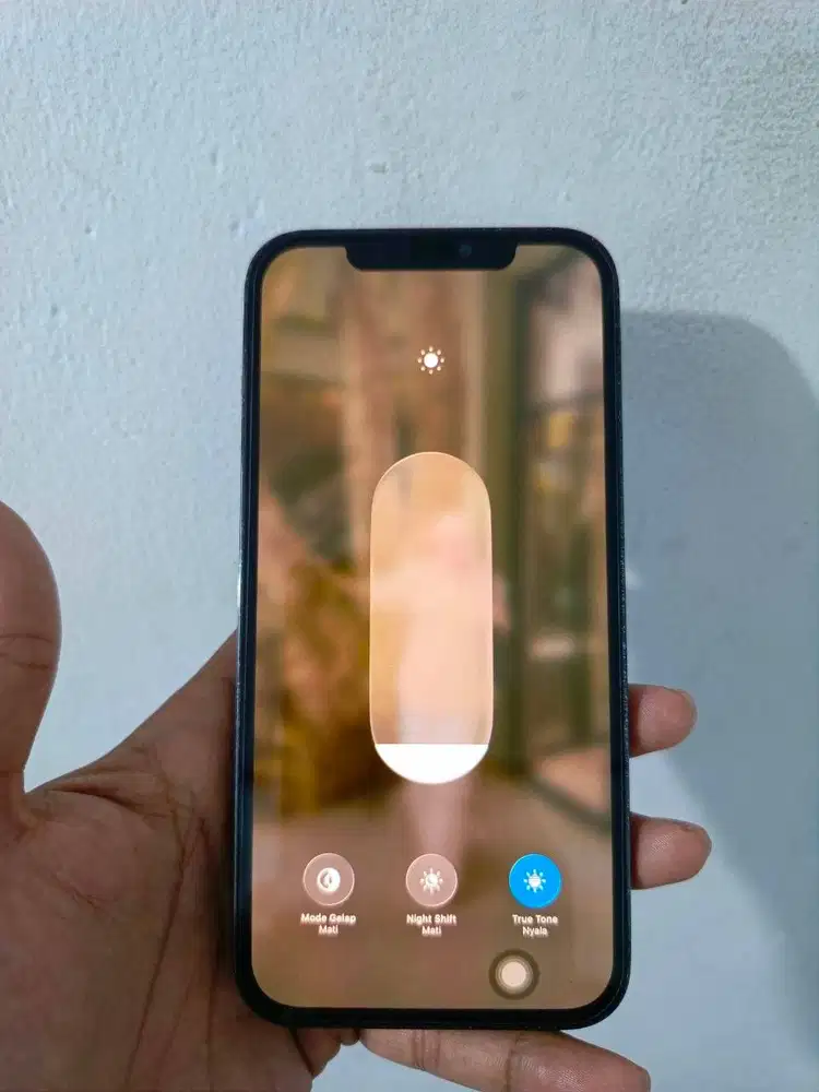Iphone 12 Pro Max 128GB LL/A Pasific Blue