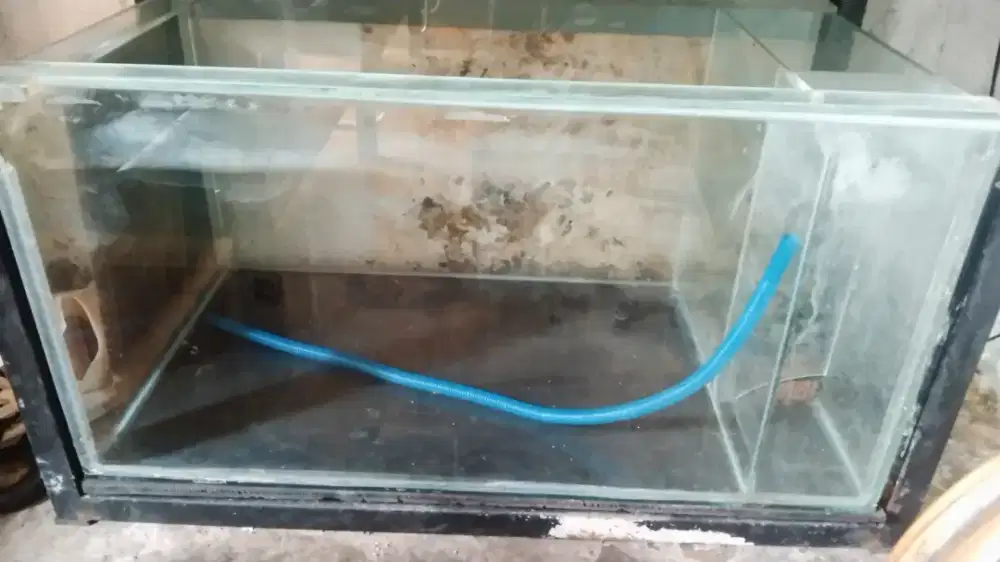 Tank aquarium fullset