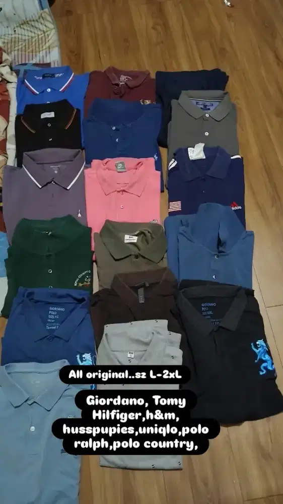 POLO Shirt sz L -2Xl