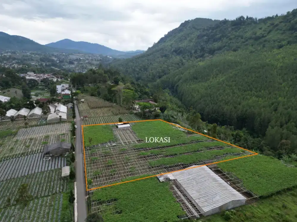 BUTUH CEPAT JUAL TANAH LEMBANG BANDUNG