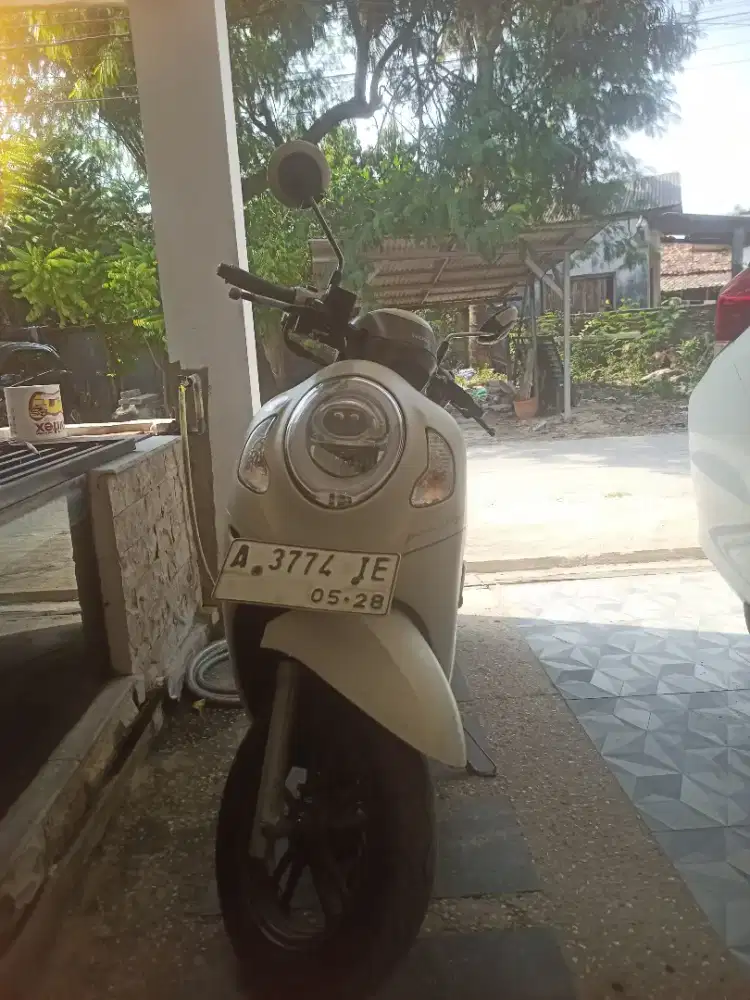 Honda Scoopy Prestige