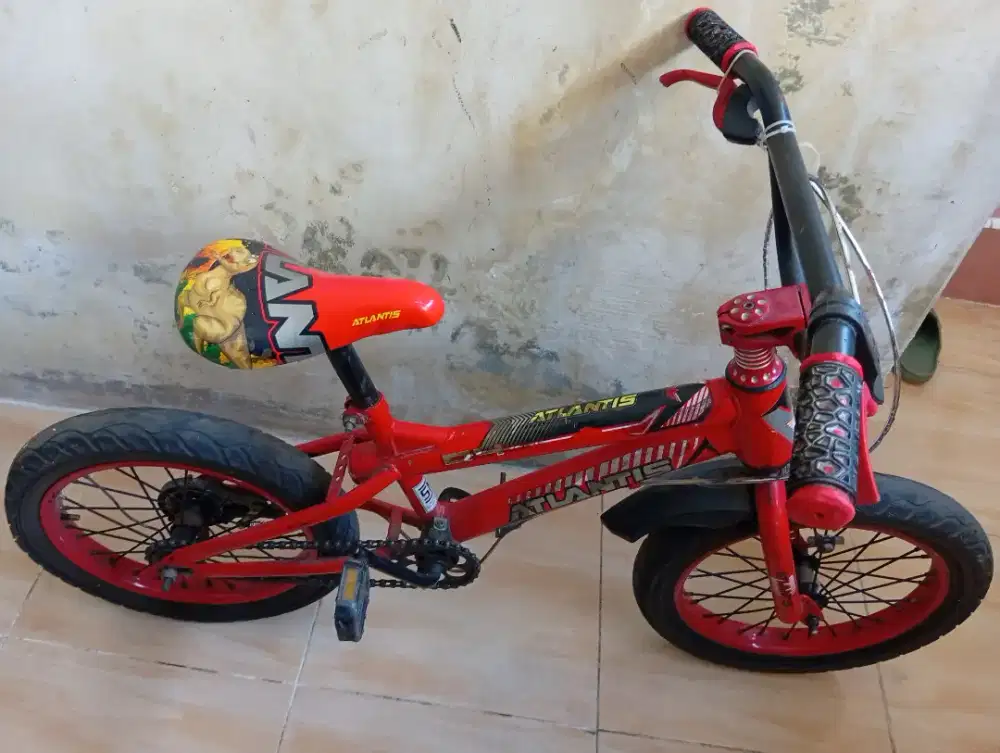 Sepeda Anak 16