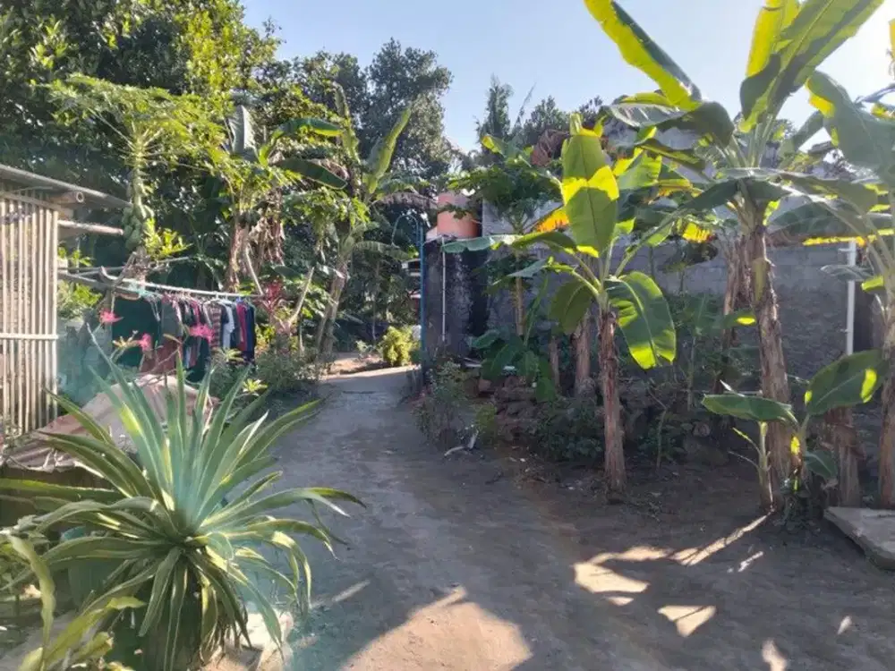 Tanah Strategis di Brajan, Tamantirto, Kasihan, Bantul
