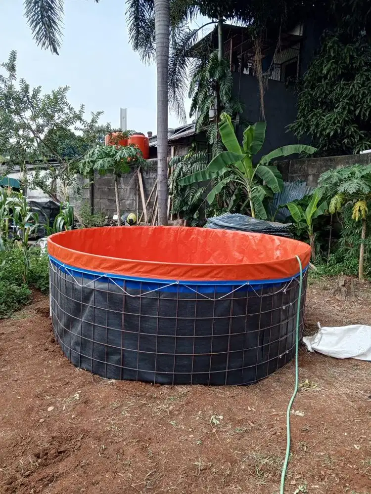 Distributor kolam ikan Bioflok Dan Bibit ikan